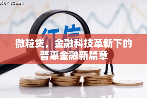 丰顺微粒贷，金融科技革新下的普惠金融新篇章