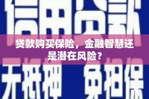 丰顺贷款购买保险，金融智慧还是潜在风险？