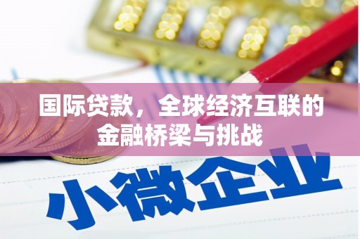 丰顺国际贷款，全球经济互联的金融桥梁与挑战