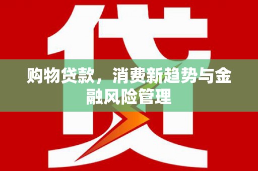 丰顺购物贷款，消费新趋势与金融风险管理