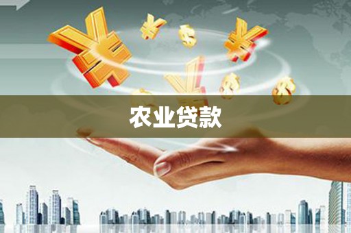 丰顺农业贷款