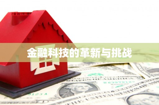 丰顺金融科技的革新与挑战