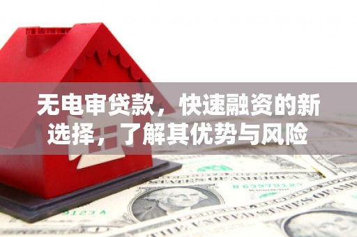 丰顺无电审贷款，快速融资的新选择，了解其优势与风险