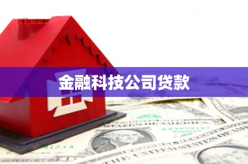 丰顺金融科技公司贷款