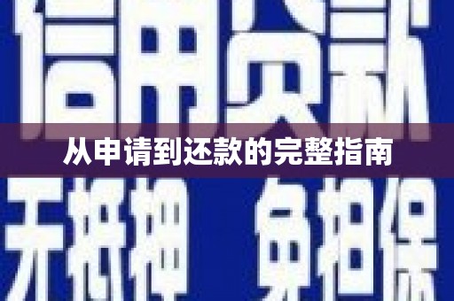 丰顺从申请到还款的完整指南