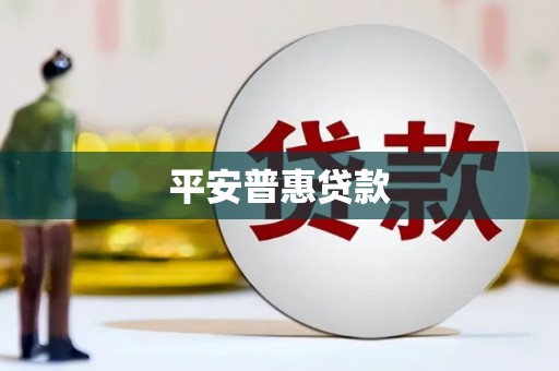 丰顺平安普惠贷款