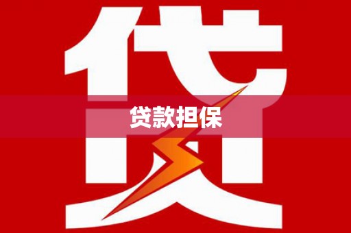 丰顺贷款担保