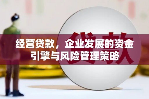 丰顺经营贷款，企业发展的资金引擎与风险管理策略