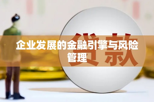 丰顺企业发展的金融引擎与风险管理