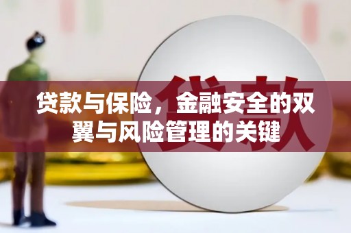 丰顺贷款与保险，金融安全的双翼与风险管理的关键