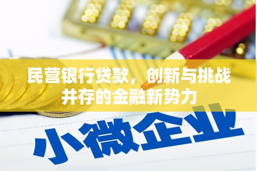 丰顺民营银行贷款，创新与挑战并存的金融新势力