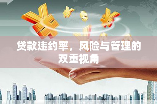 丰顺贷款违约率，风险与管理的双重视角