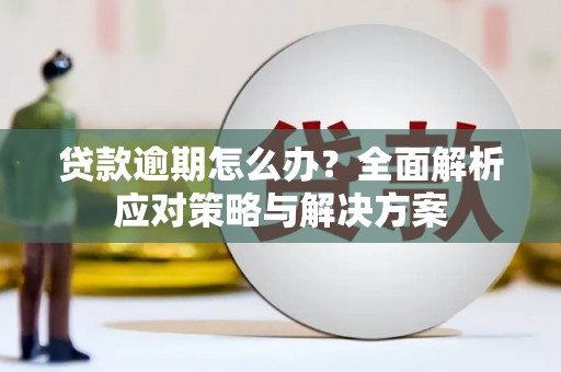 丰顺贷款逾期怎么办？全面解析应对策略与解决方案