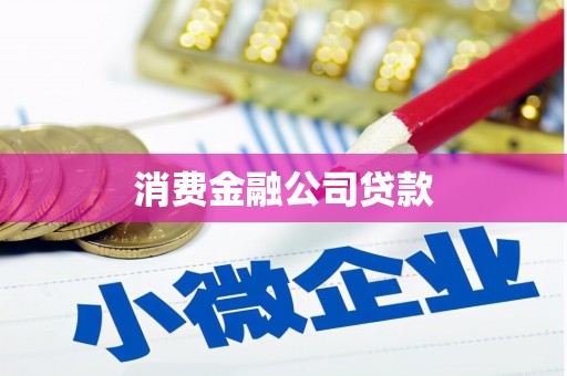 丰顺消费金融公司贷款