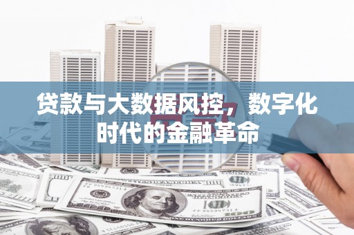 丰顺贷款与大数据风控，数字化时代的金融革命
