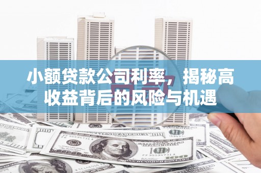 丰顺小额贷款公司利率，揭秘高收益背后的风险与机遇