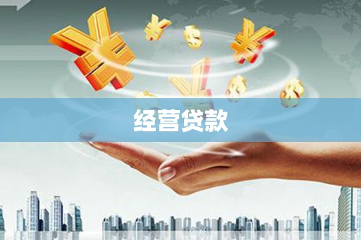 丰顺经营贷款