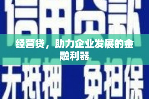 丰顺经营贷，助力企业发展的金融利器