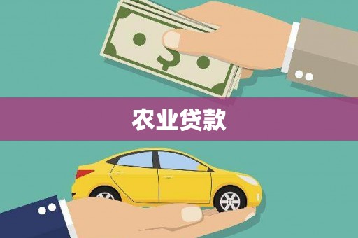 丰顺农业贷款