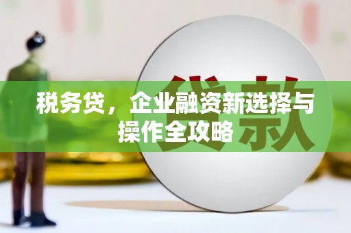 丰顺税务贷，企业融资新选择与操作全攻略