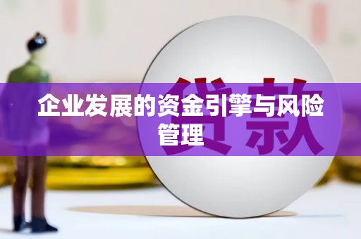 丰顺企业发展的资金引擎与风险管理