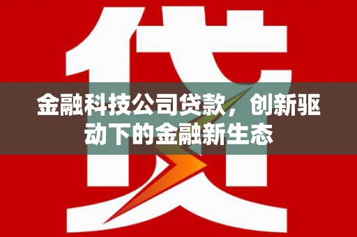 丰顺金融科技公司贷款，创新驱动下的金融新生态