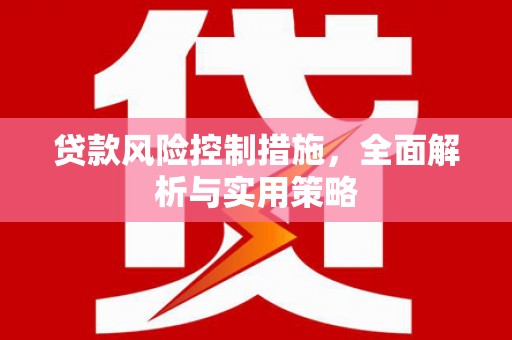 丰顺贷款风险控制措施，全面解析与实用策略