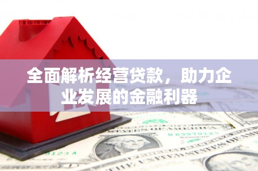 丰顺全面解析经营贷款，助力企业发展的金融利器