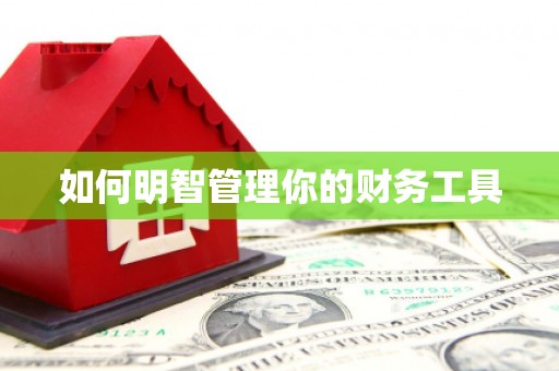 丰顺如何明智管理你的财务工具