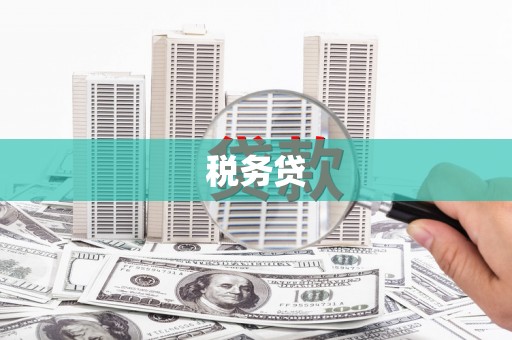 丰顺税务贷