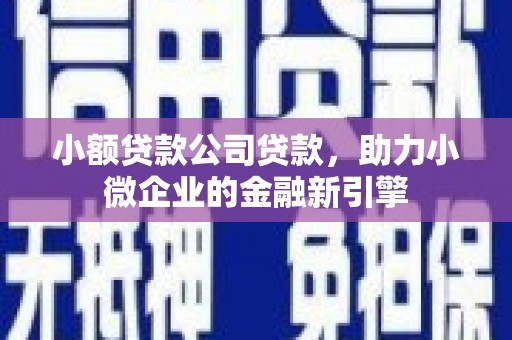 丰顺小额贷款公司贷款，助力小微企业的金融新引擎