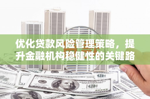 丰顺优化贷款风险管理策略，提升金融机构稳健性的关键路径