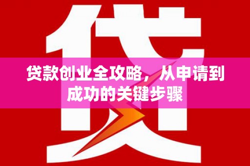 丰顺贷款创业全攻略，从申请到成功的关键步骤