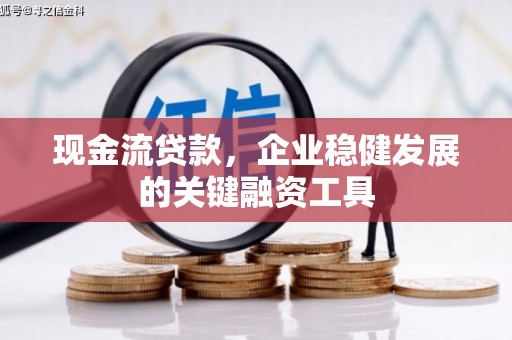 丰顺现金流贷款，企业稳健发展的关键融资工具