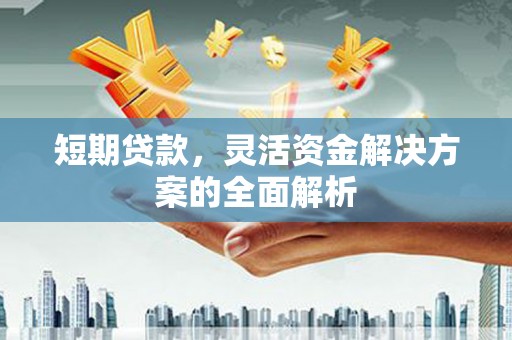 丰顺短期贷款，灵活资金解决方案的全面解析