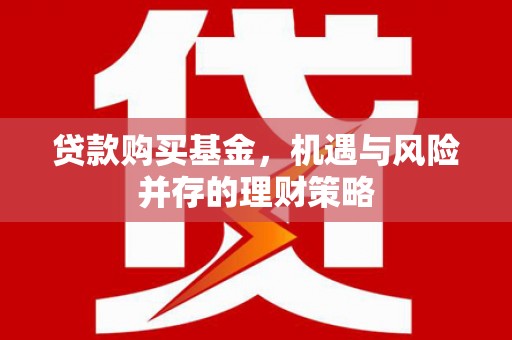 丰顺贷款购买基金，机遇与风险并存的理财策略
