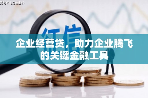 丰顺企业经营贷，助力企业腾飞的关键金融工具