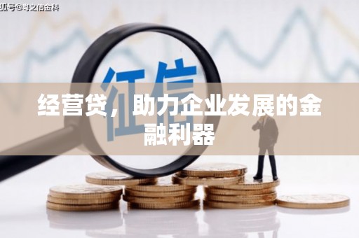 丰顺经营贷，助力企业发展的金融利器