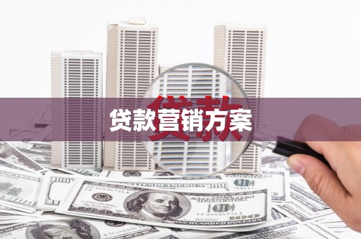 丰顺贷款营销方案