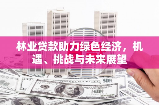 丰顺林业贷款助力绿色经济，机遇、挑战与未来展望