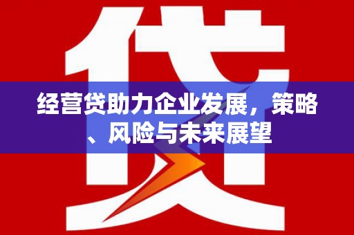 丰顺经营贷助力企业发展，策略、风险与未来展望