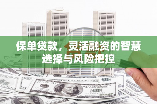 丰顺保单贷款，灵活融资的智慧选择与风险把控