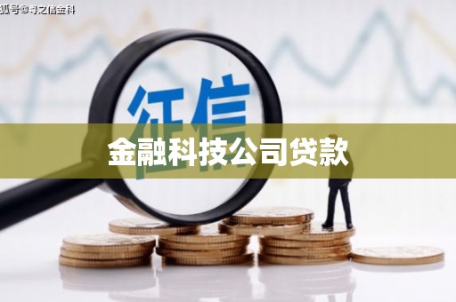丰顺金融科技公司贷款