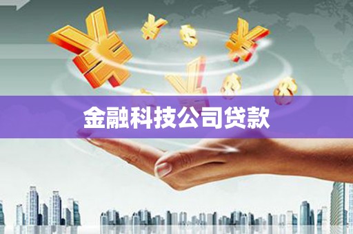 丰顺金融科技公司贷款