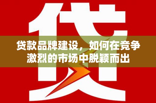丰顺贷款品牌建设，如何在竞争激烈的市场中脱颖而出