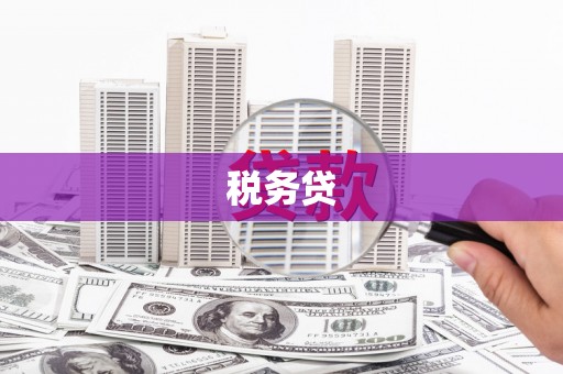 丰顺税务贷