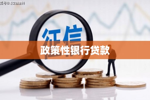 丰顺政策性银行贷款