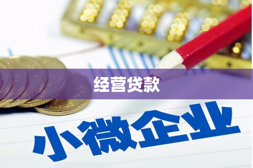 丰顺经营贷款