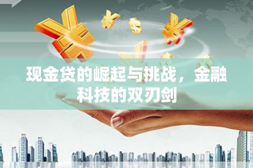 丰顺现金贷的崛起与挑战，金融科技的双刃剑