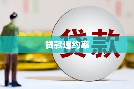 丰顺贷款违约率